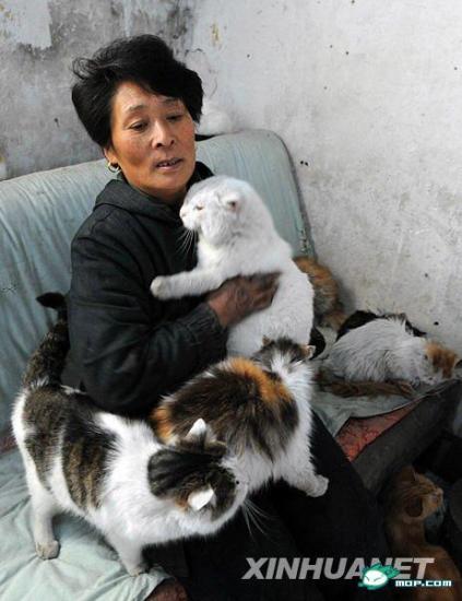 1300 chats sauvés en Chine