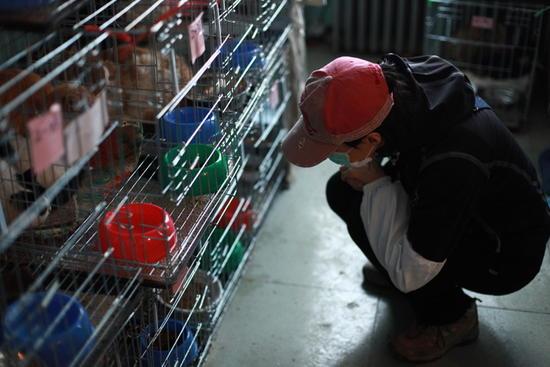 1300 chats sauvés en Chine
